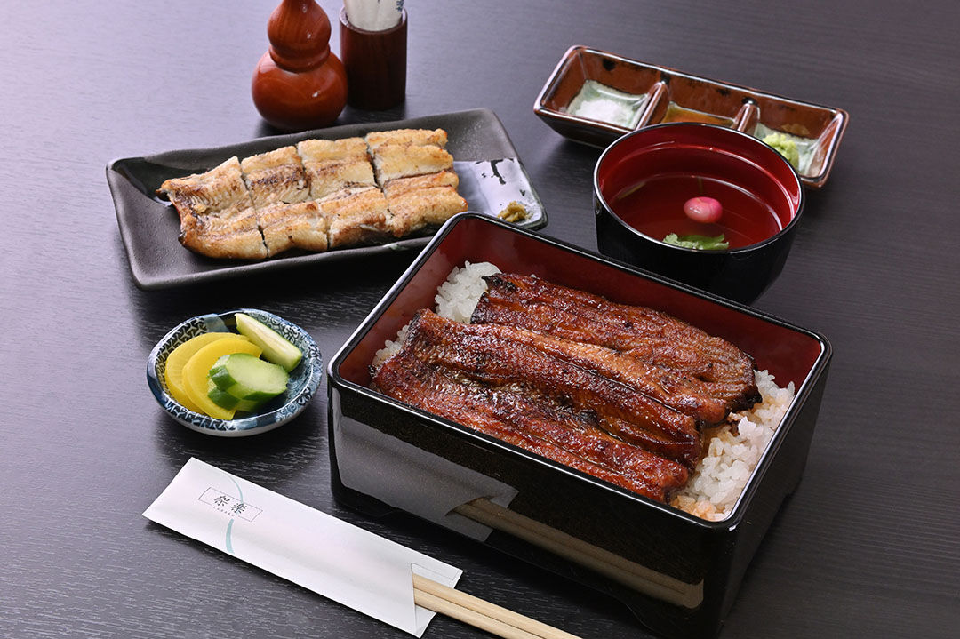 紅白鰻